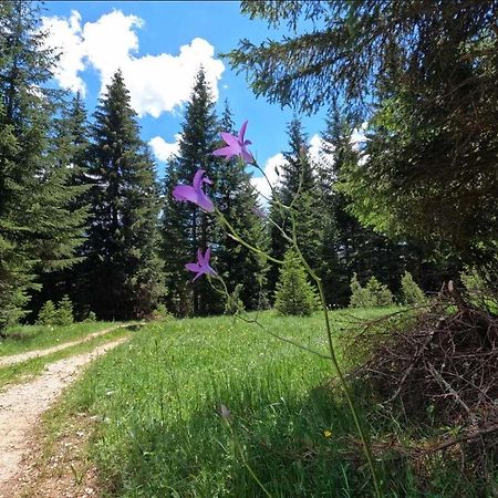 Wood Inn Žabljak Екстериор снимка