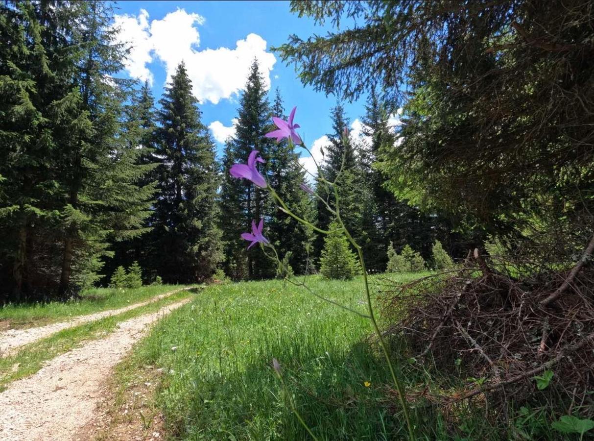 Wood Inn Žabljak Екстериор снимка