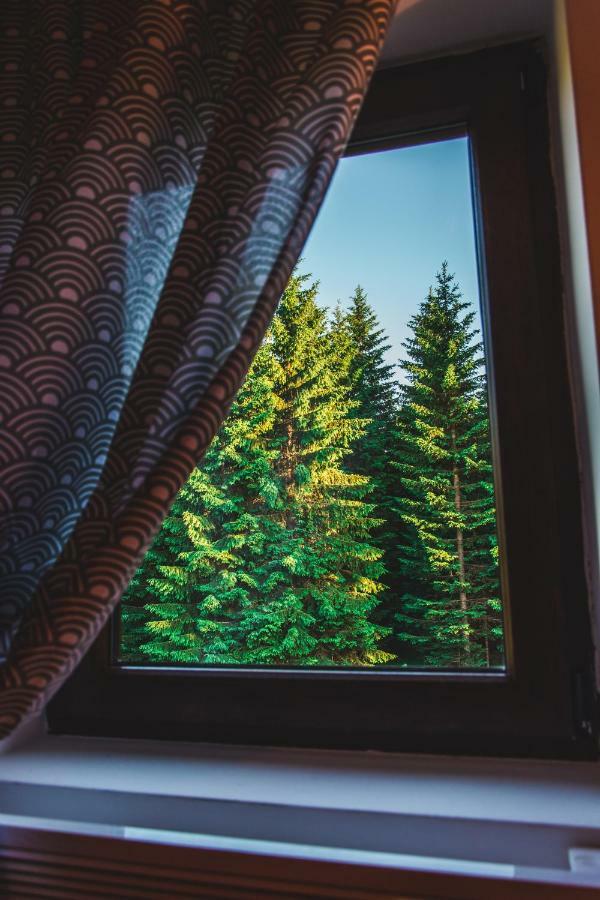 Wood Inn Žabljak Екстериор снимка